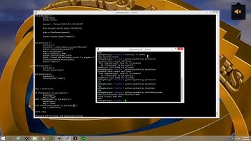 Creating a custom Plex TV Station, Part 1