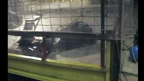 Roaming Robots Portsmouth - Hydra, Tilly Evo, Envy & Merlin