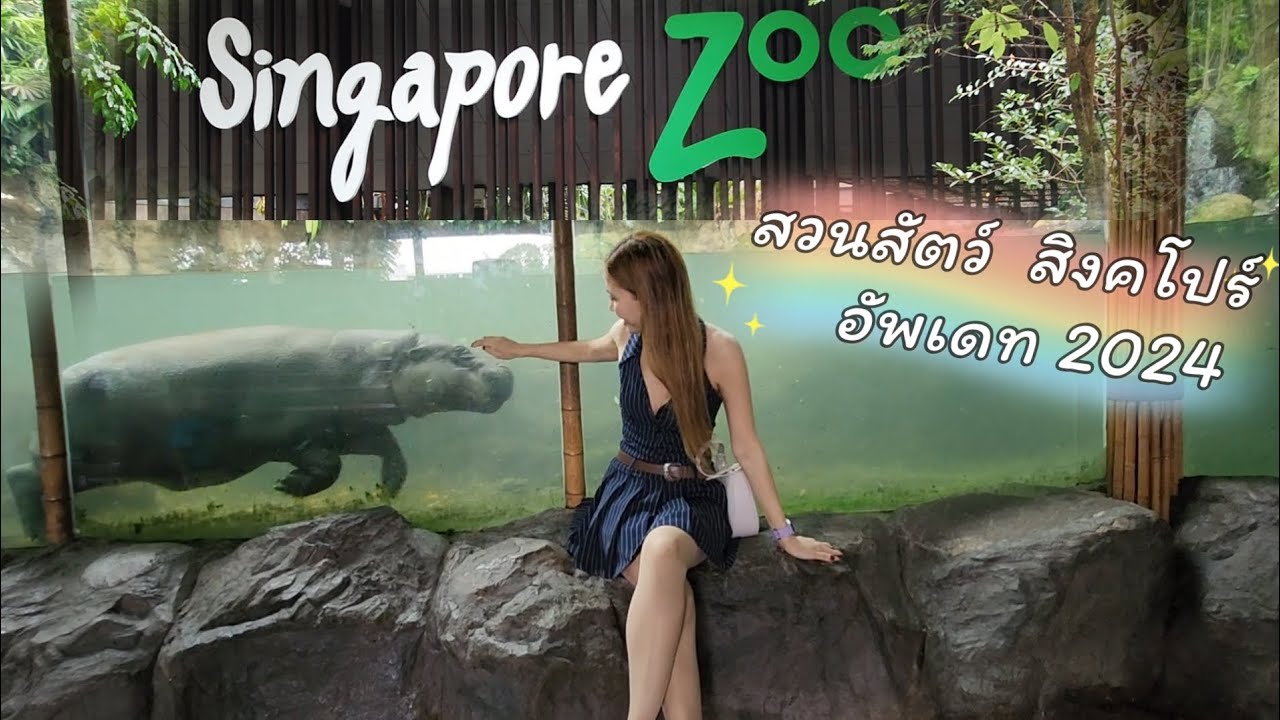 รีวิว​ Singapore​ Zoo​ อัพเดท 2024 เที่ยวสิงคโปร์​ สวนสัตว์สิงคโปร์​  ที่เที่ยวสิงคโปร์​ KidzWorld