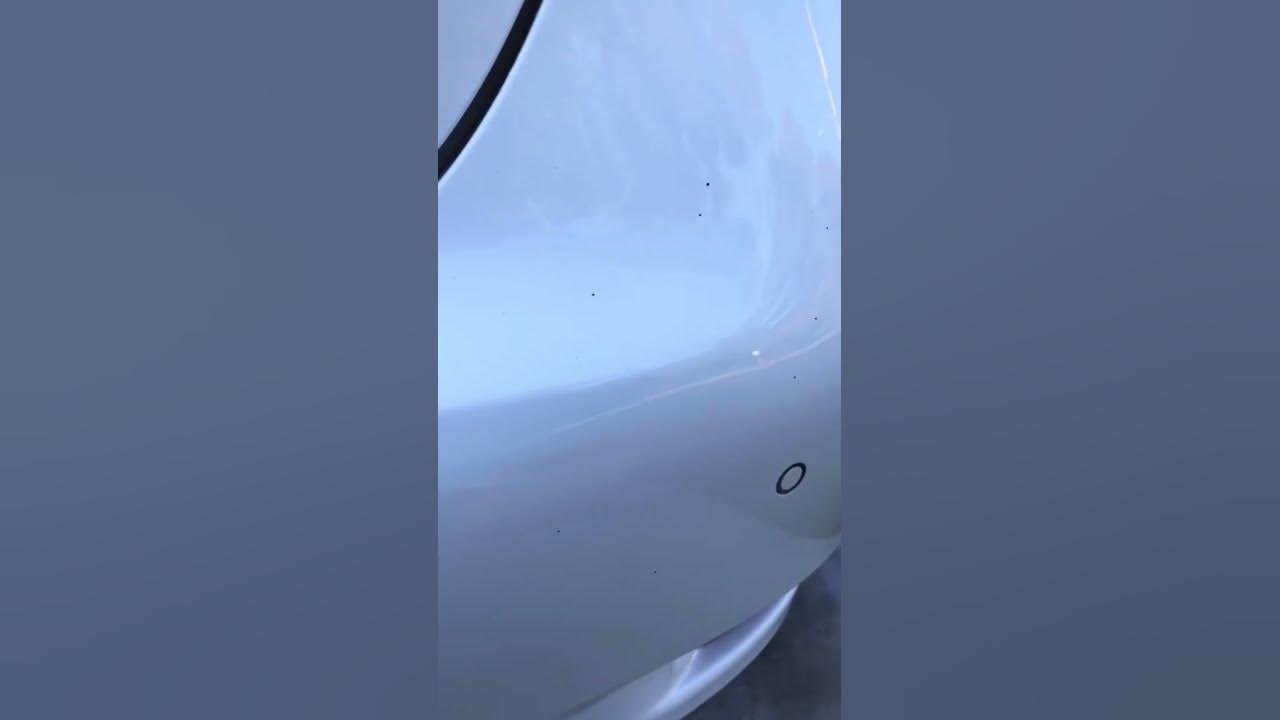Artillery Fungus (Spores) on Car Removal - YouTube