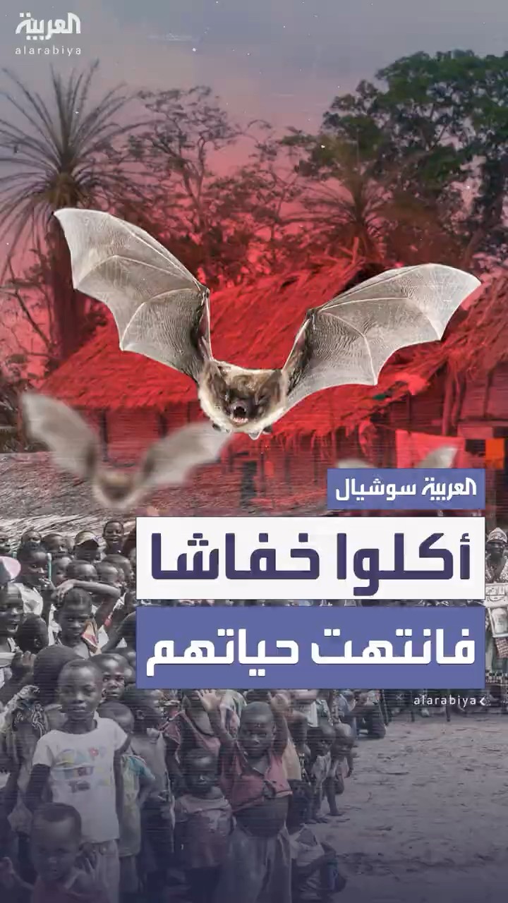 مرض مجهول يتفشى في الكونغو بعد تناول 3 أطفال لخفاش