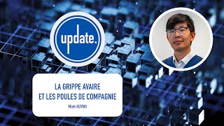 Update - Grippe Aviaire Chez Les Poules De Compagnie