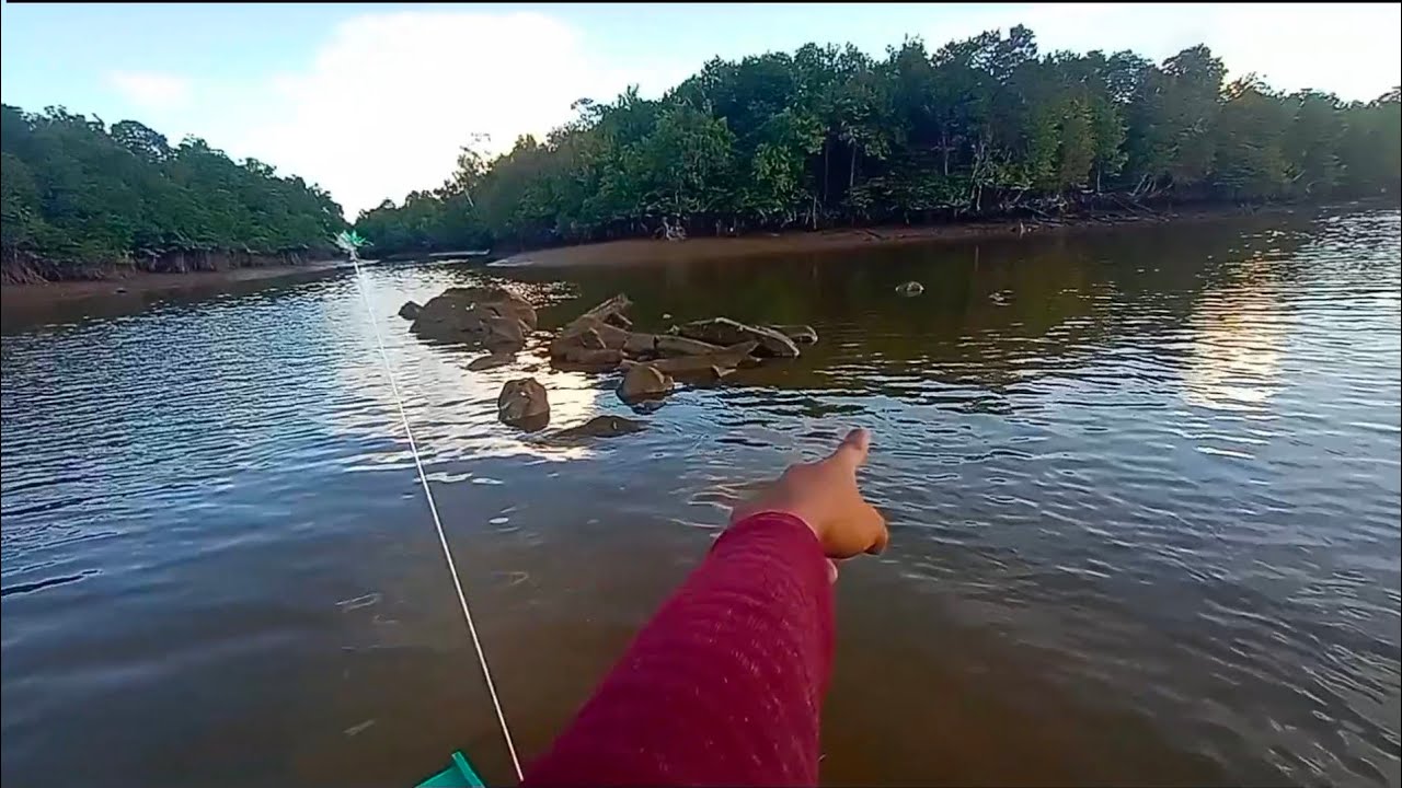 Setumpuk Karang...!!! Sarang Babon BARRAMUNDI