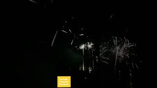 Feu Dartifice. Fête Nationale Du 14 Juillet. Martigues. 1044 Pm. 140725