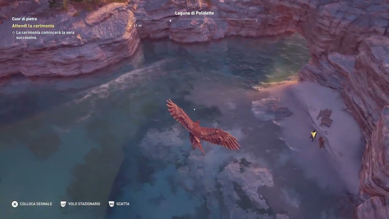 Ostracon - Bellezza dagli occhi blu (blue eyed beauty)