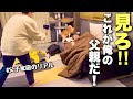 【息子が暴露⁈】男子3人を育てる父の実態を晒した映像がこちらです…(NO.319)