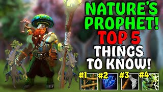 5 Things To Know About NATURE'S PROPHET! - 7.34