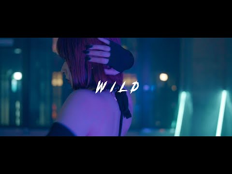 【踊ってみた】WILD / Lady Donli