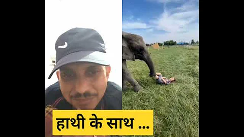 #shorts _हाथी ने _#elephant Kicks Ball at Human Face!