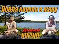 ЛОВИМ КОРОПА В ЖАРУ.Нарешті розмочив КОРЧІВ.