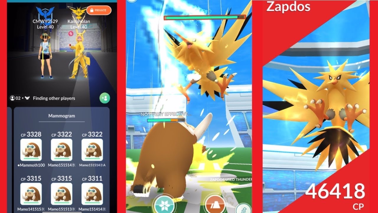 Mamoswine vs Zapdos duo (no weather boost)