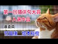 第一回猫俳句大賞 入選作品集