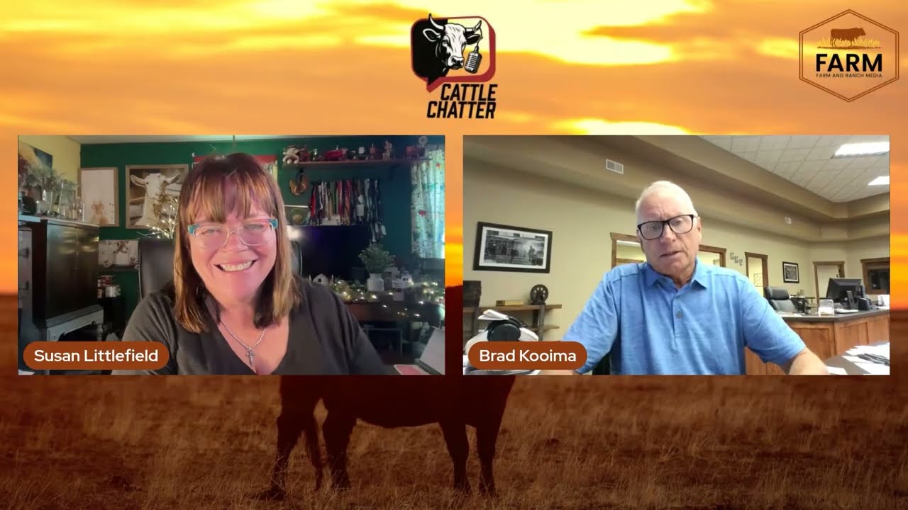 Are Cattle Producers Losing Their Leverage?  The Market Is Sending Mixed Signals | 8/20/26