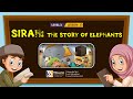 The story of elephants  basic islamic course for kids  92campus