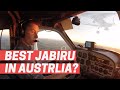 125hp Jabiru 160C | Short Sunrise Flight | Hunter Valley