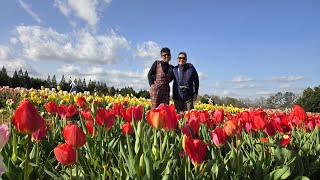 Yule Forest Tulip Festival 🌷💐 | Stockbridge Georgia 🇺🇸 | March 2025