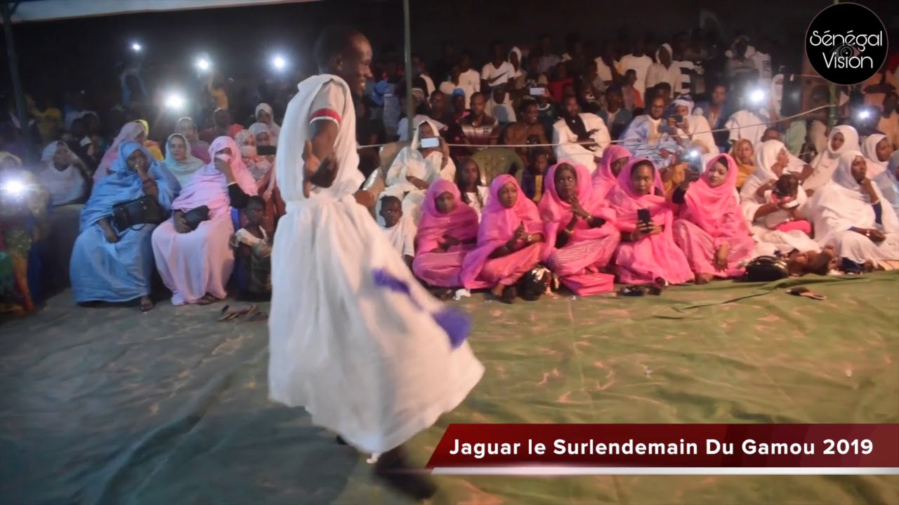 Jaguar à Ngoumba Guéoul