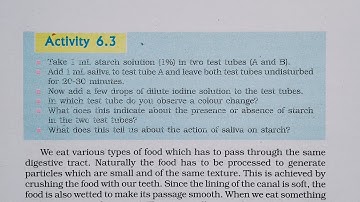 Activity 6.3, Life Processes, Chapter 6, 10th Class Science