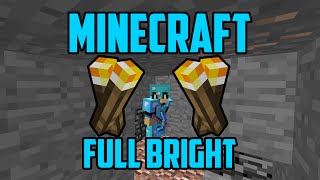 Minecraft Full Brightness (NO HACKS)