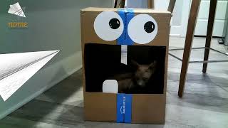 International Box Day June 19 2023