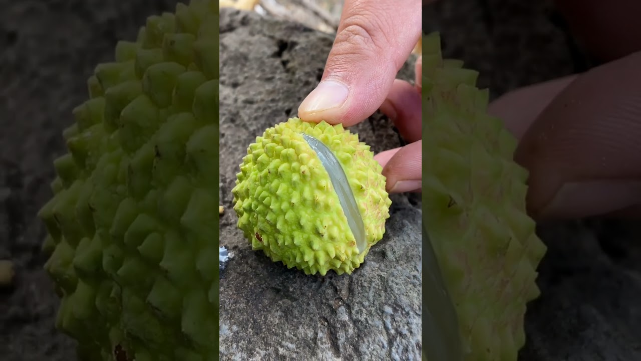 🍓🍏Oddly Satisfying LYCHEE 🍒🥝🍇( Fresh Fruit Cutting In My Farm ) How To Cut Fruit In My Farm 