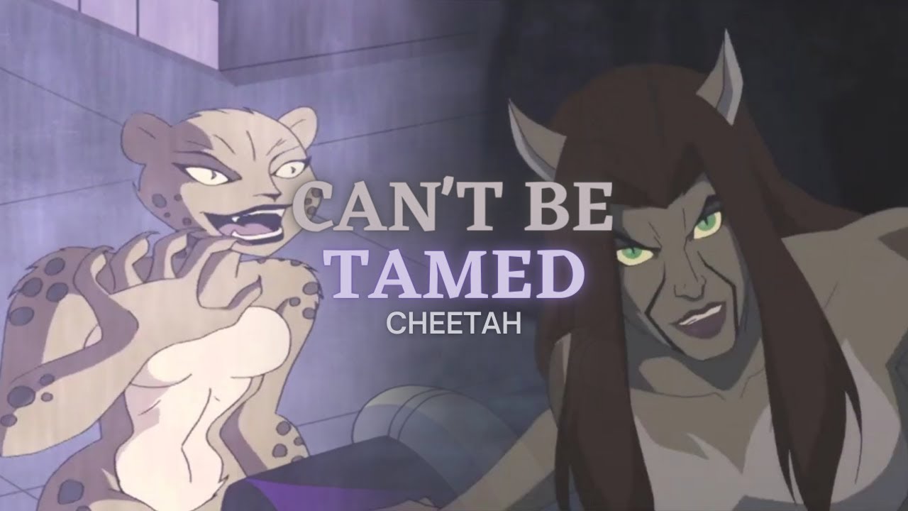 cheetah | can't be tamed