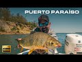 Pesca con Carnada - Posada Puerto Paraíso