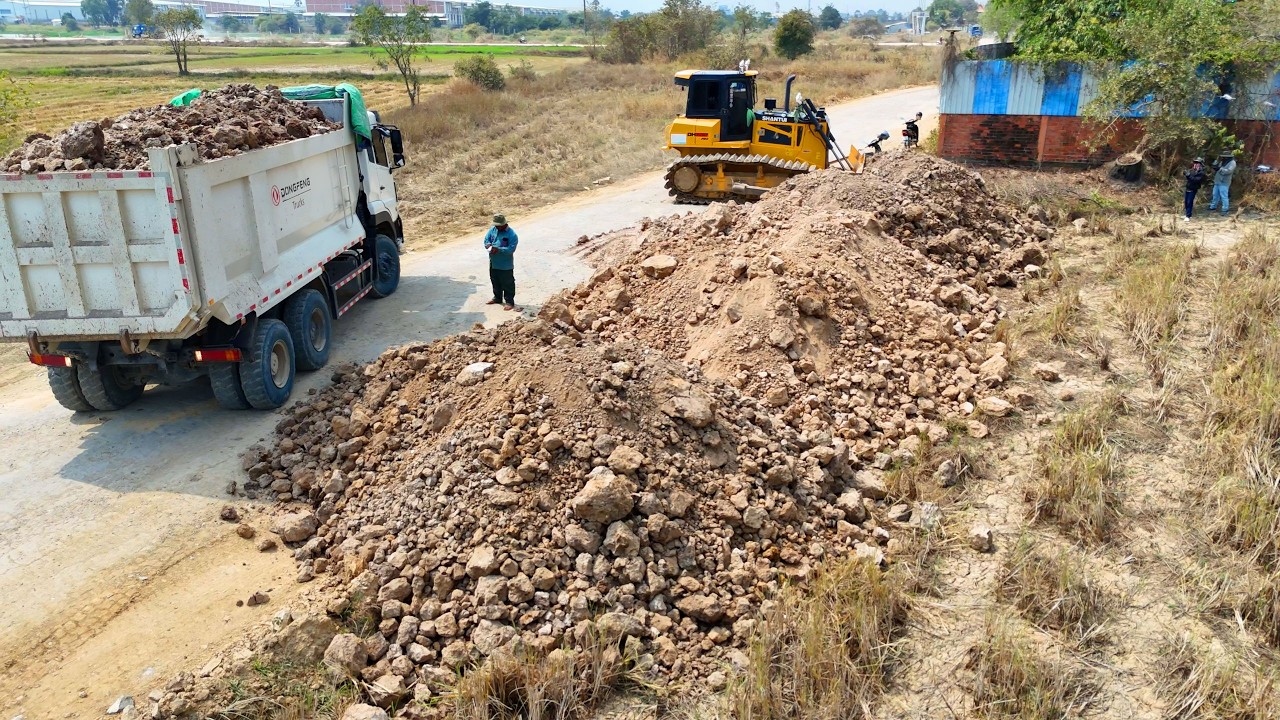 Skilled operation! Using the powerful Shantui C3 Dozer and 12-Wheel Dump Trucks to fill flooded land
