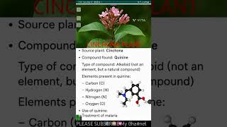 Cinchona Plant Cinchona Use In Treatment Malaria quininedayastudy55 educationyoutubeshorts gk