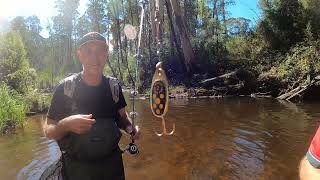 When The Fishing Sucks Drink Beer & Make Cabonara by Noojee Bushgoods 439 views 1 month ago 11 minutes, 12 seconds