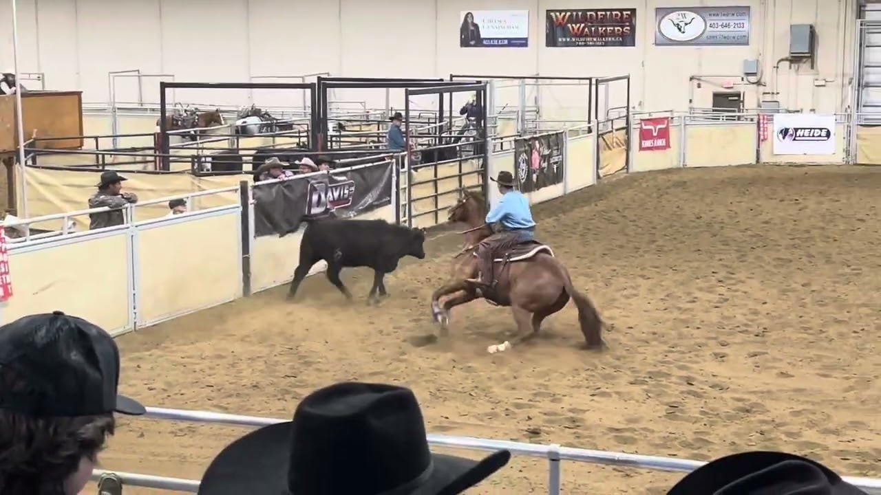 Ken Swainson Boxing Calnash 5/25