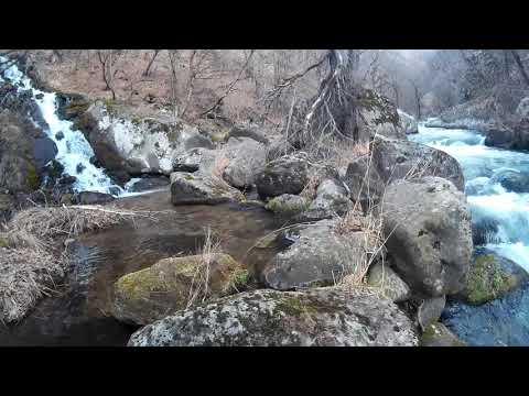 მთაში თევზაობა.fly fishing in georgia