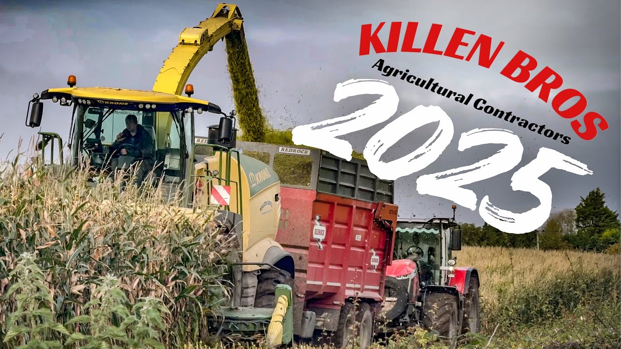 Killen Bros | Обзор 2025 года