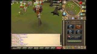 RevolutionxPK Private Server : Painfull KO