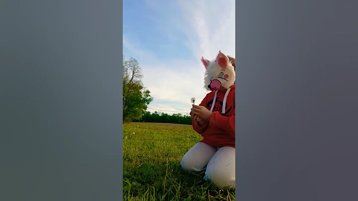 it was very yummy #christanfurry #furry #antizoo #fup