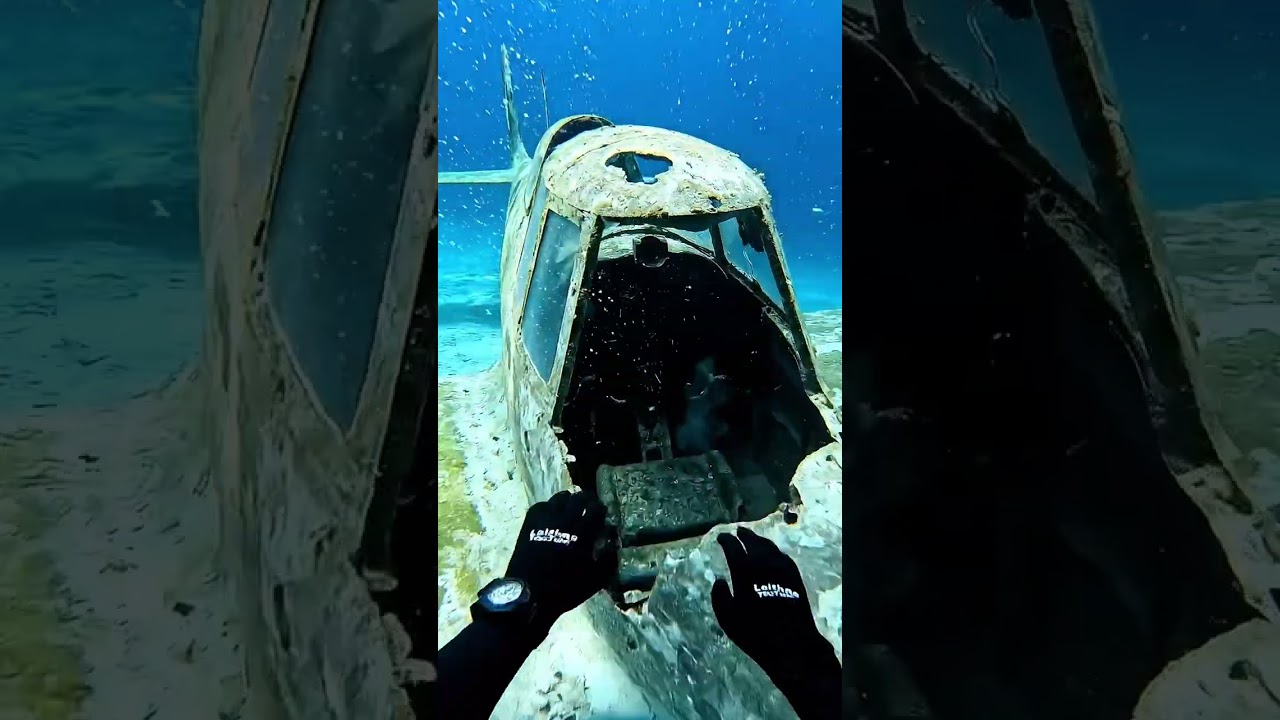 Looked inside a SUNKEN WW2 PLANE... Look who is flying it! ✈️🦈😱
