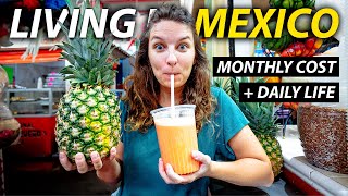 Our Monthly Cost of Living in Mexico 2023 (Day in The Life) by Eric and Sarah 60,867 views 5 months ago 19 minutes