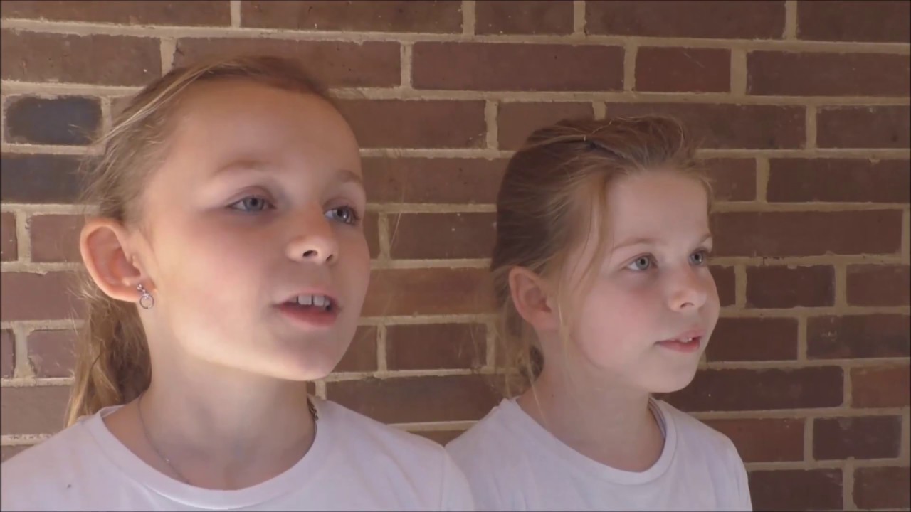 Leben in der Hecke - Dokumentation