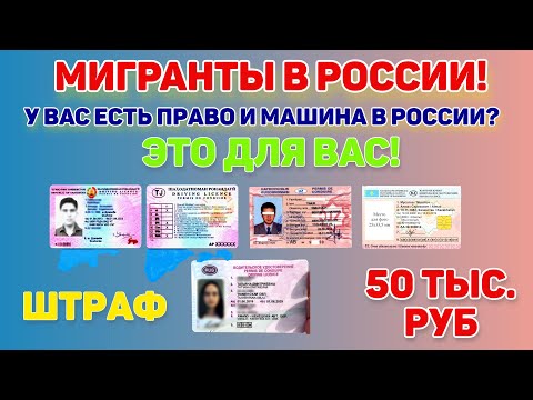 Водительские права для мигрантов в РФ. Какие права должны быть у мигранта, чтобы принять на работу?