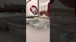 Collapsing Can Demonstration