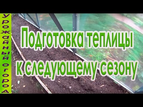 Даёшь богатый урожай: почему так важна обработка теплицы осенью, как её выполнить