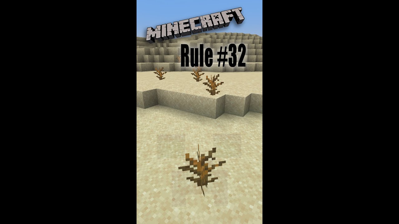 Minecraft Rules: 32 - YouTube