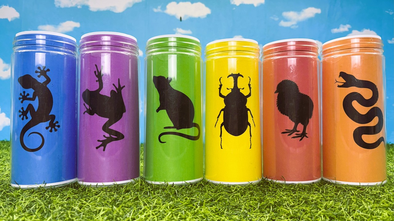 Питомцы: Радужный цыплёнок, Мышь, Леопардовый геккон, Маисовый полоз, Жук-Геркулес, Лягушка Пакман