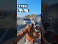#대단하다 #shorts #할리여라