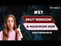 #37 Split Horizon And Maximum Hop [Hindi]