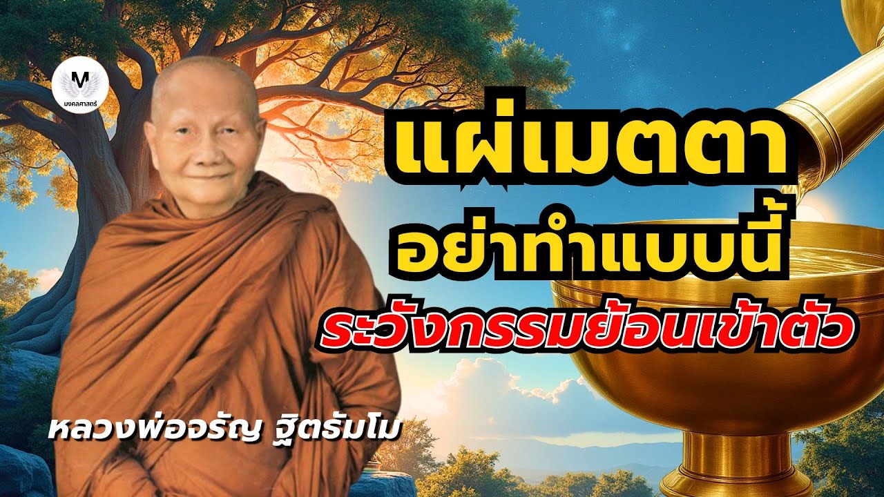 #แผ่เมตตา อย่าทำแบบนี้ ระวังกรรมย้อนเข้าตัว #หลวงพ่อจรัญ #หลวงพ่อฤาษีลิงดำ #มงคลศาสตร์ #คาถาเงินล้าน