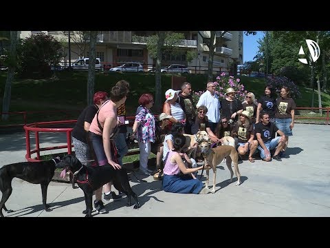 Una placa recuerda las torturas que sufrieron los animales salvajes enjaulados en el Parque Bruil