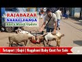 Vishwakarma Special | Rajabazar Narkeldanga Bakra Mandi | Kolkata Goat Market | Stock Clearance Sale