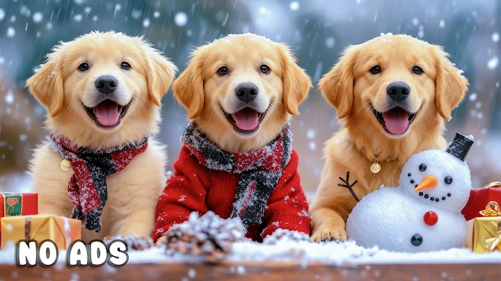 24 Hours of Dog TV for Dogs to Watch 🐶🎅 Festive Melodies for Puppies & Relaxed Holiday Energy ❄️🐾