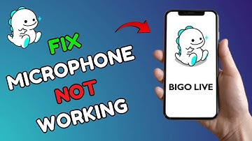 How to Fix Microphone Not Working in Bigo Live 2025?